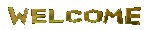 Welcome!